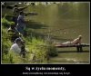 I połowione