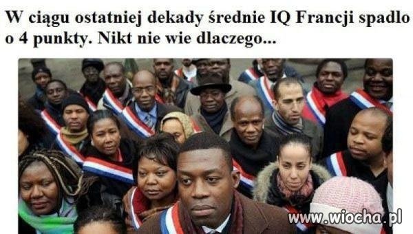 IQ   