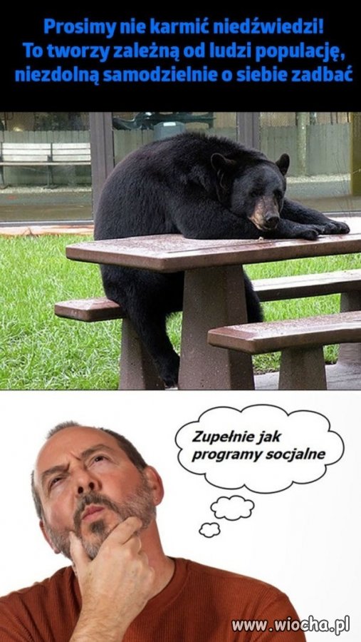 Nie wolno karmić...