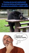 Nie wolno karmić...