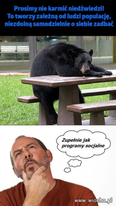 Nie wolno karmić...