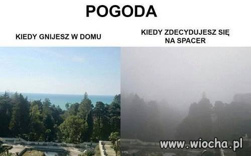 Pogoda 