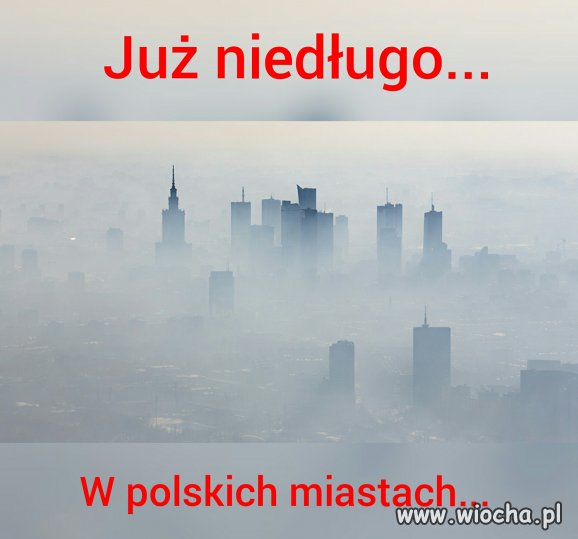 Jak zwykle przez debili