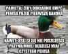 Pmiętaj