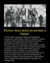 Wiele osób uważa że pierwsze obozy powstały 
