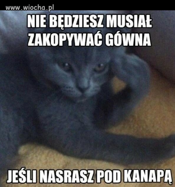 Dobry plan nie jest zły