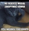 Dobry plan nie jest zły