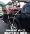 A Wy co na to?...