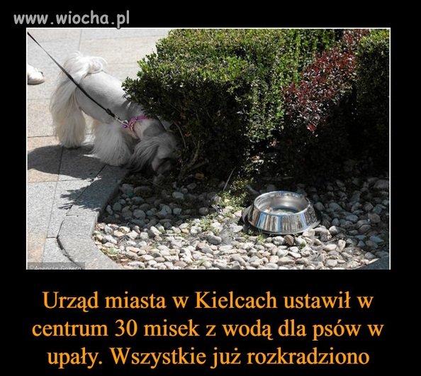 Może były potrzebne