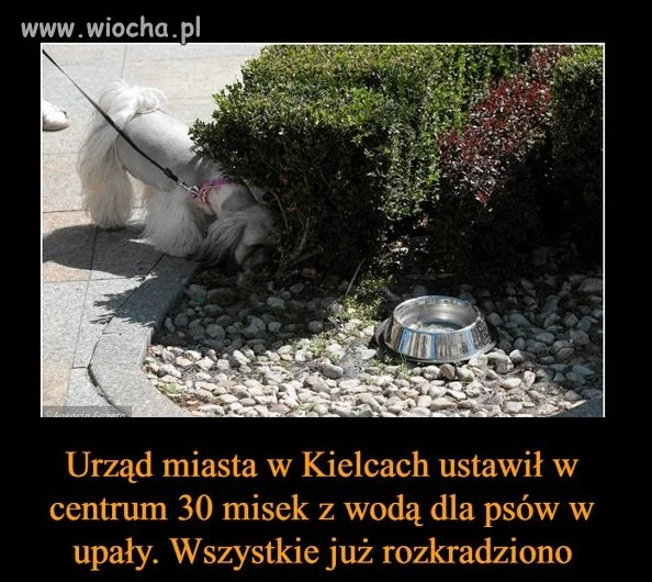 Może były potrzebne