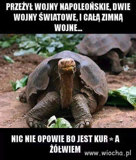 Przeżył