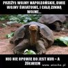 Przeżył