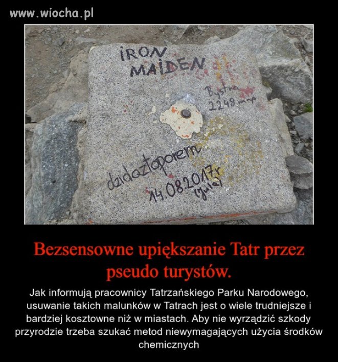 Szkoda gadać