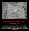 Szkoda gadać
