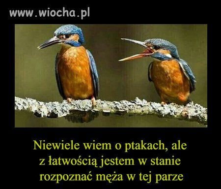 Taki już los