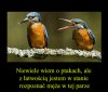 Taki już los
