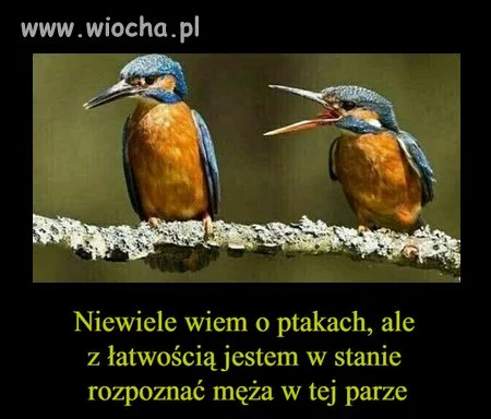 Taki już los