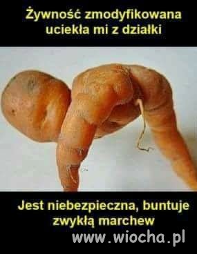 Żywność