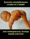 Żywność