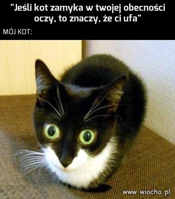 Chyba nie powinienem był go kąpać