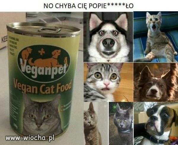 Co to ma być?