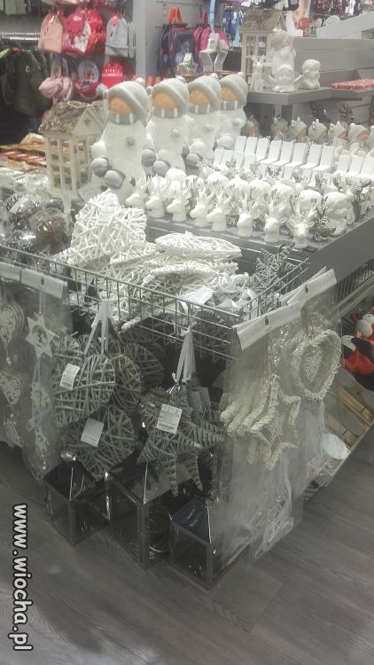 A w Zamościu 