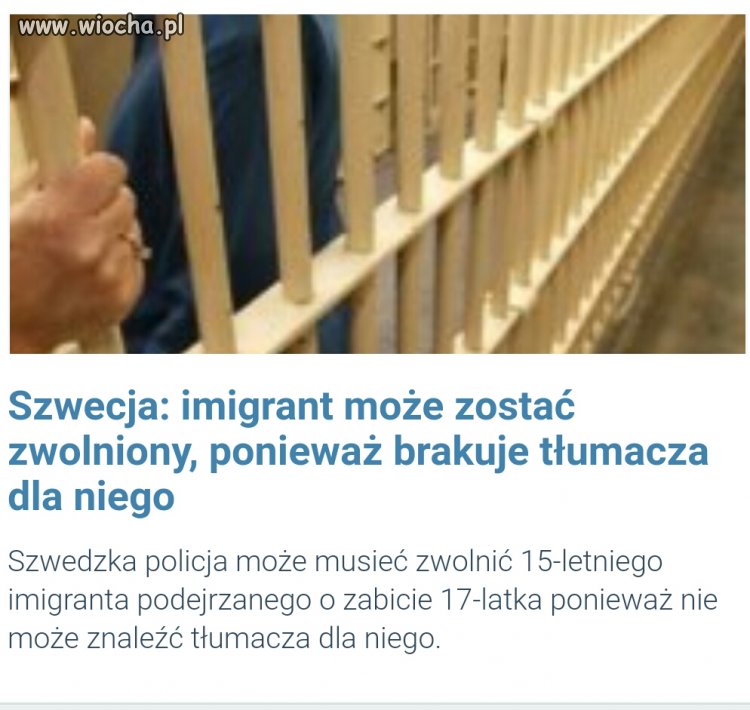 Bezkarność imigrantów