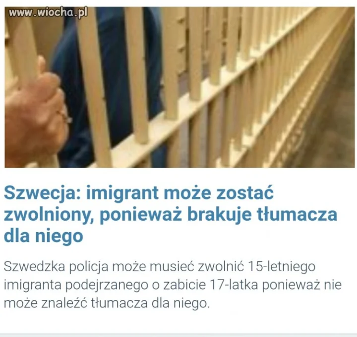 Bezkarność imigrantów