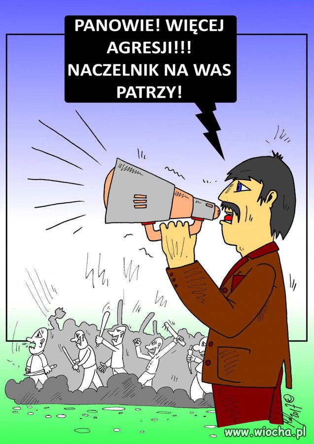 Naczelnik luka