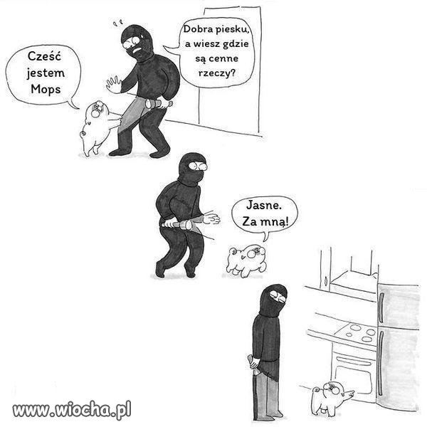 Dobrze pokazał