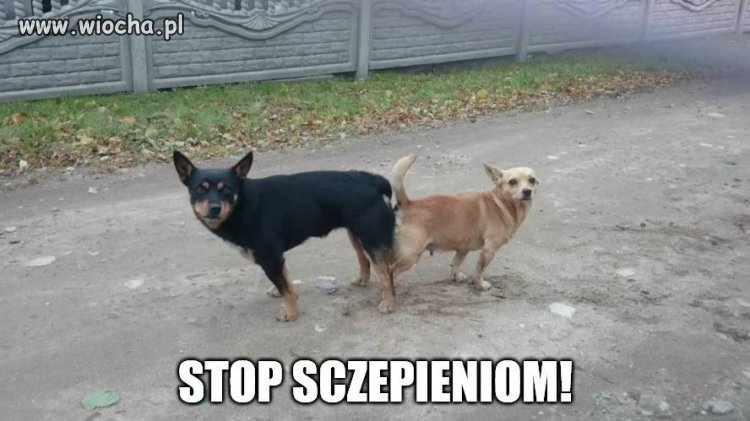 Stop szczepieniom