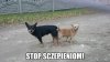 Stop szczepieniom