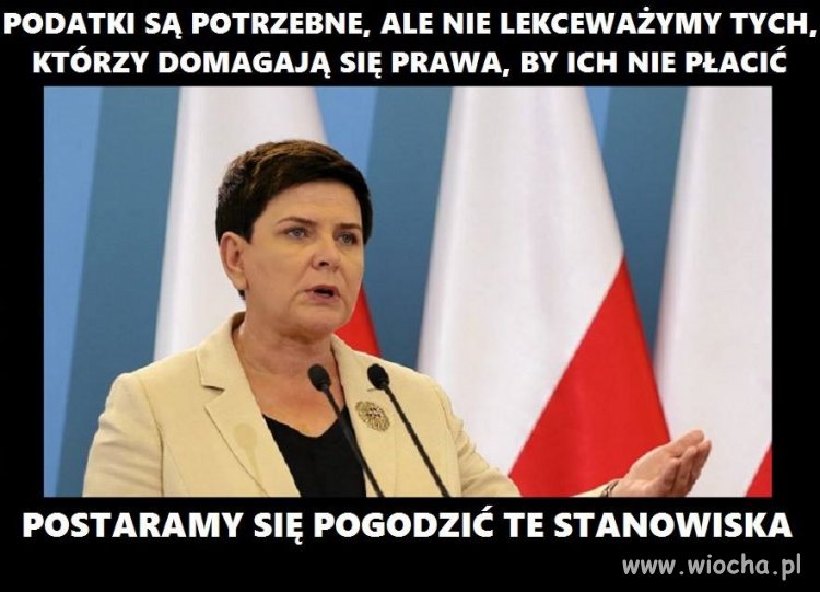 Są firmy, które same się zgłaszają 