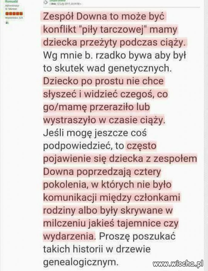 Na Frondzie można znaleźć bardzo ciekawe teorie