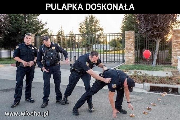 Pułapka doskonała