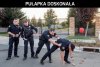 Pułapka doskonała