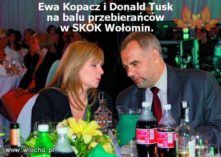 Heheszki internetu