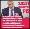 Nie lubię konia bo to taki sam świr jak reszta