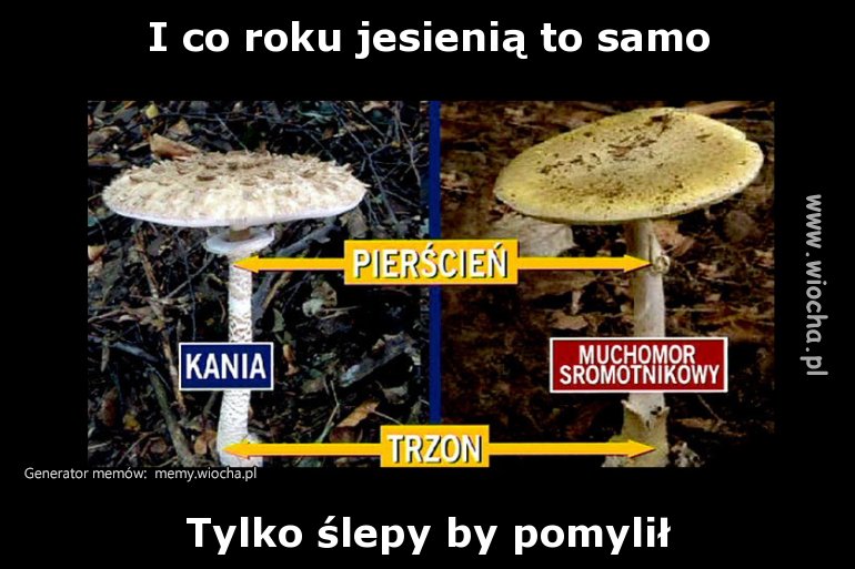 Taka prawda