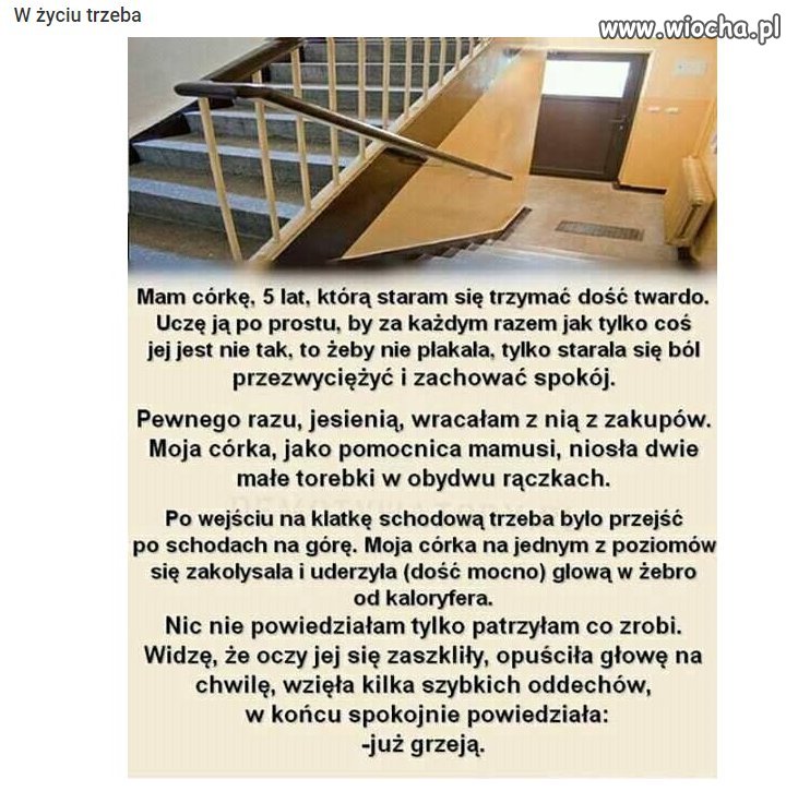 Wżyciu trzeba być twardym