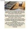 Wżyciu trzeba być twardym