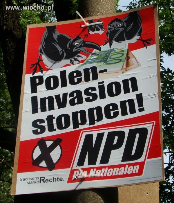 Plakat wyborczy Udo Voigt obrońcy PISu 