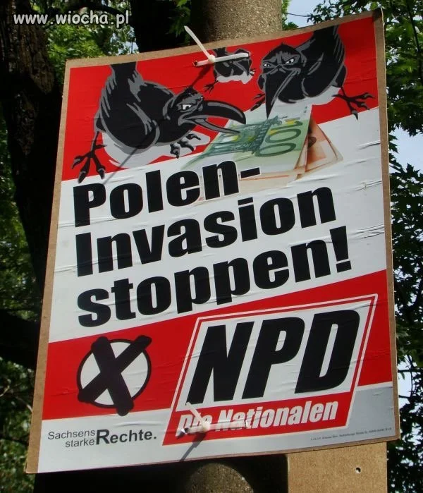 Plakat wyborczy Udo Voigt obrońcy PISu 