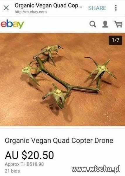 Dron organiczny...