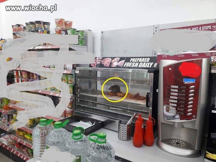 Tak świeże, że nawet mysz nie może się oprzeć 