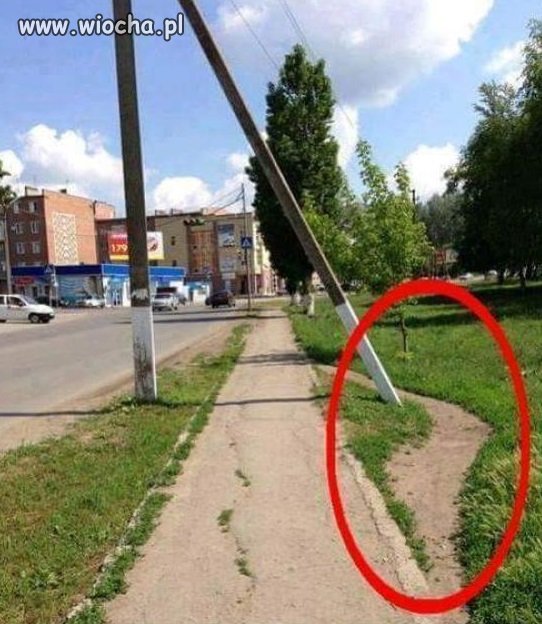 Przyznać się