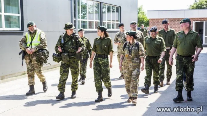  Dania śle 110 żołnierzy na granicę z Niemcami. 