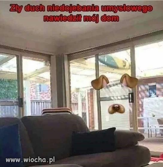 Ratuj się kto może!