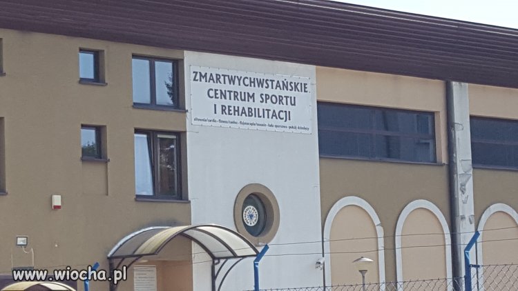 Ciekawe zajęcia tam mają 