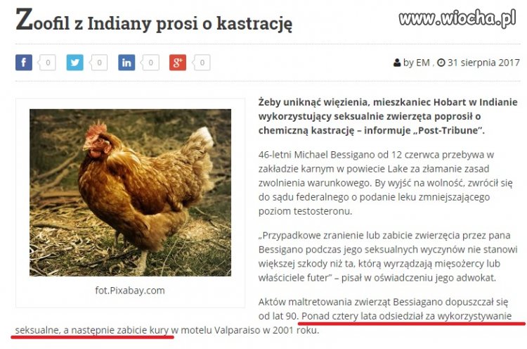 Przytulić ptaszynę nabrało dosłownego znaczenia